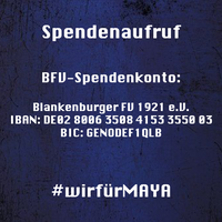 Spendenaufruf Maya_Slide2